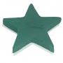 Gwiazda / Star  / Stern / звезда